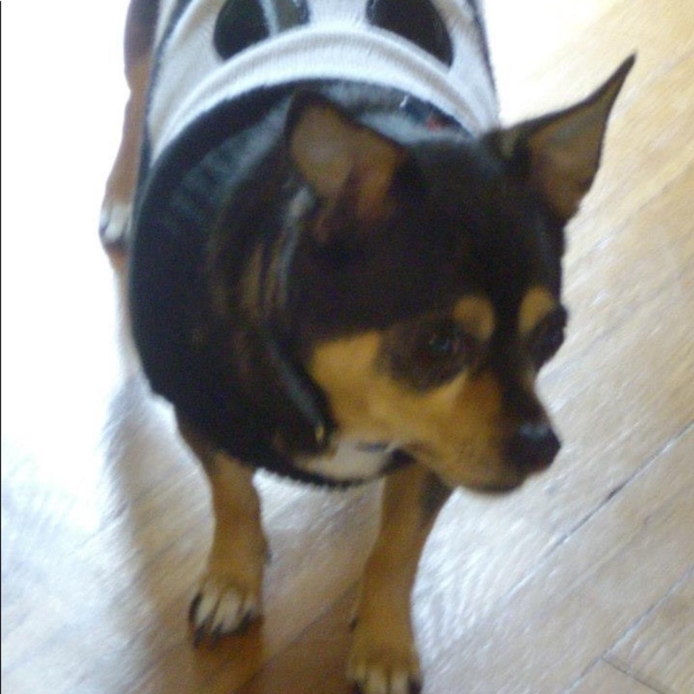 Meet your Posher, Stacie